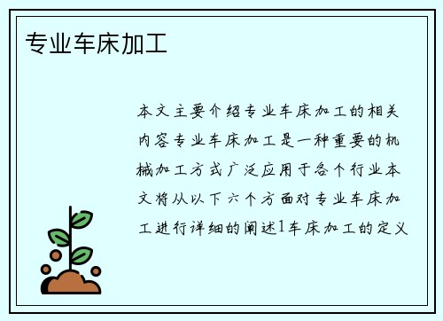 专业车床加工